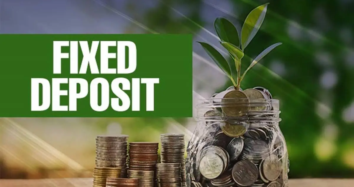 Cash-Plus Investment